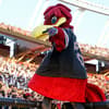 kentucky-vs-south-carolina-national-media-predictions