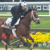 Journalism prepares for the Preakness Stakes, Gregory Fisher-Imagn Images