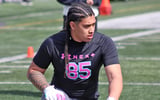 Troy Mailo
