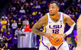 KJ Williams LSU Basketball