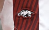 Arkansas Razorbacks basketball logo