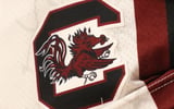 south carolina basketball logo