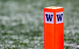 Washington Huskies logo