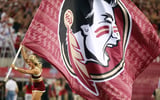 Florida State Seminoles flag