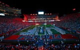 The Swamp