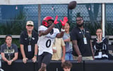 Tony Johnson, Cincinnati