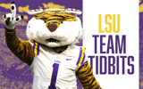 LSU Team Tidbits - Who starts at safety for LSU next season?