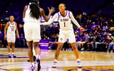 LSU's Mjracle Sheppard became the sixth player to enter the NCAA Transfer Portal (Photo: LSU Athletics)