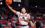 Kaden Magwood (Photo by Auburn Athletics)