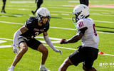 Texas Tech safety Peyton Morgan