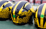Michigan Helmet