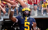 Savion Hiter