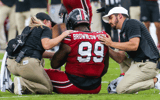 south carolina gamecocks dl gabriel brownlow dindy