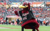 South Carolina mascot