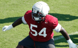 Jayvin James, Alabama