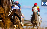 future-stars-friday-at-the-breeders-cup-3