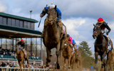 blue grass stakes at keeneland