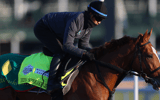 kentucky-derby-149-betting-expert-picks-derma-sotogake-mandarin-hero