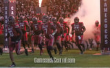 south carolina gamecocks football entrance