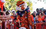 aubie 1200 mr 10-22-25a