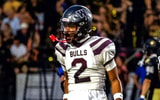 Wiregrass