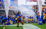 Pittfb