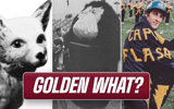 South Carolina - Golden What - hookly