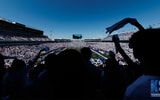 kroger-field-fans
