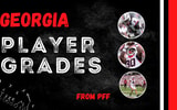 PFF Grades (19)