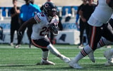 NFL: Chicago Bears at Carolina Panthers