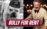 South Carolina - Bully for rent - hookly