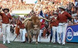 ut_vs_ohio_state-2548_bevo