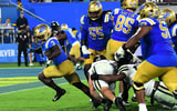 Wayne Knight