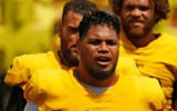 Steelers Tyson Alualu