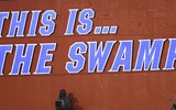 Florida-Gators-The-Swamp