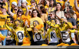 Missouri football fans Faurot Field