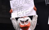 Sebastian the Ibis, Miami Hurricanes Mascot
