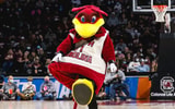 South Carolina mascot Cocky during a basketball game