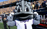 tcu-horned-frogs-focused-think-nil-collective-pauses-operations