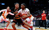south carolina womens basketball milaysia fulwiley