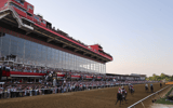 preakness-stakes-148-post-positions-morning-line-odds-set-triple-crown-mage-horse-racing