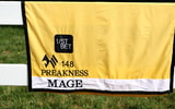 small-preakness-field-offers-limited-opportunities-for-big-winners-mage-triple-crown