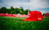 south carolina gamecocks baseball hat