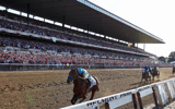 belmont-stakes-post-positions-morning-line-odds