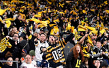 Pittsburgh Steelers Fans