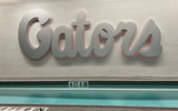 Florida-Gators-facility-cold-pool