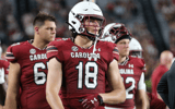 South Carolina tight end Connor Cox watches during the Gamecocks spring game