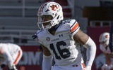 terrance-love-auburn-football