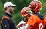 panthers-request-to-interview-bengals-oc-brian-callahan-for-head-coaching-vacancy