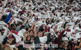 University of South Carolina football fans wave towels during 'Sandstorm' at Williams-Brice Stadium
